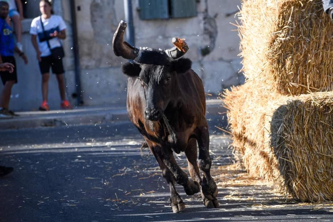 בוקר Location Gite En Provence מראה חיצוני תמונה