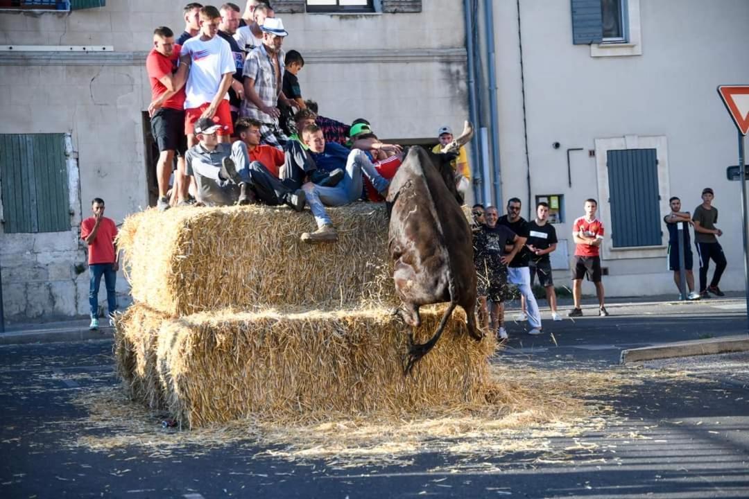 בוקר Location Gite En Provence מראה חיצוני תמונה